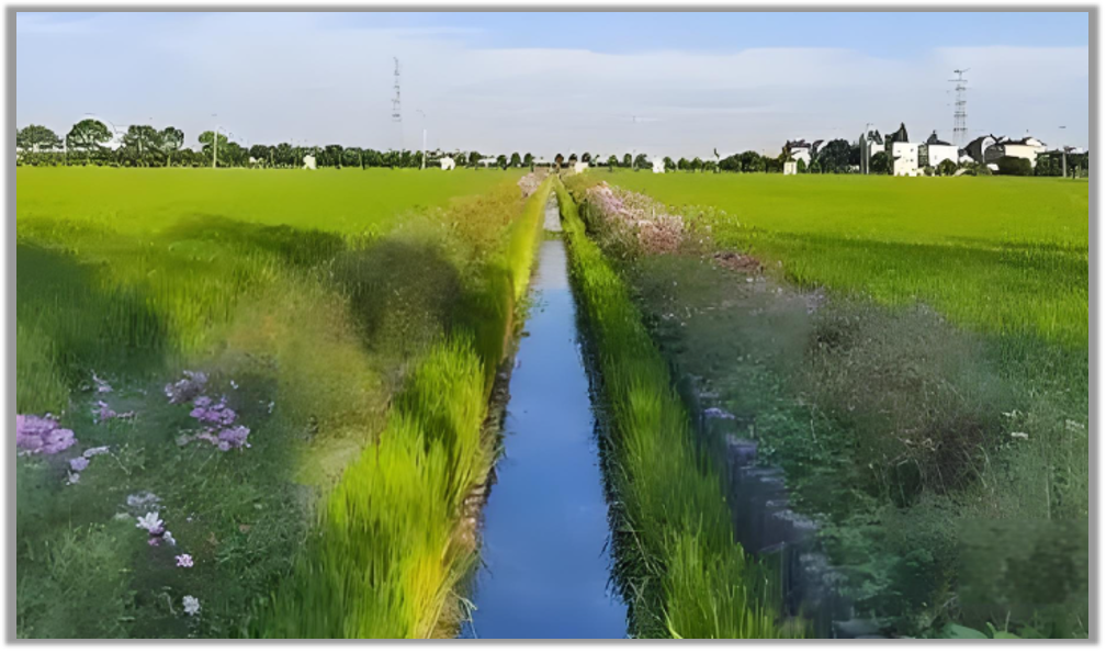 彭镇马家碾排水沟水生态、河渠治理项目设计